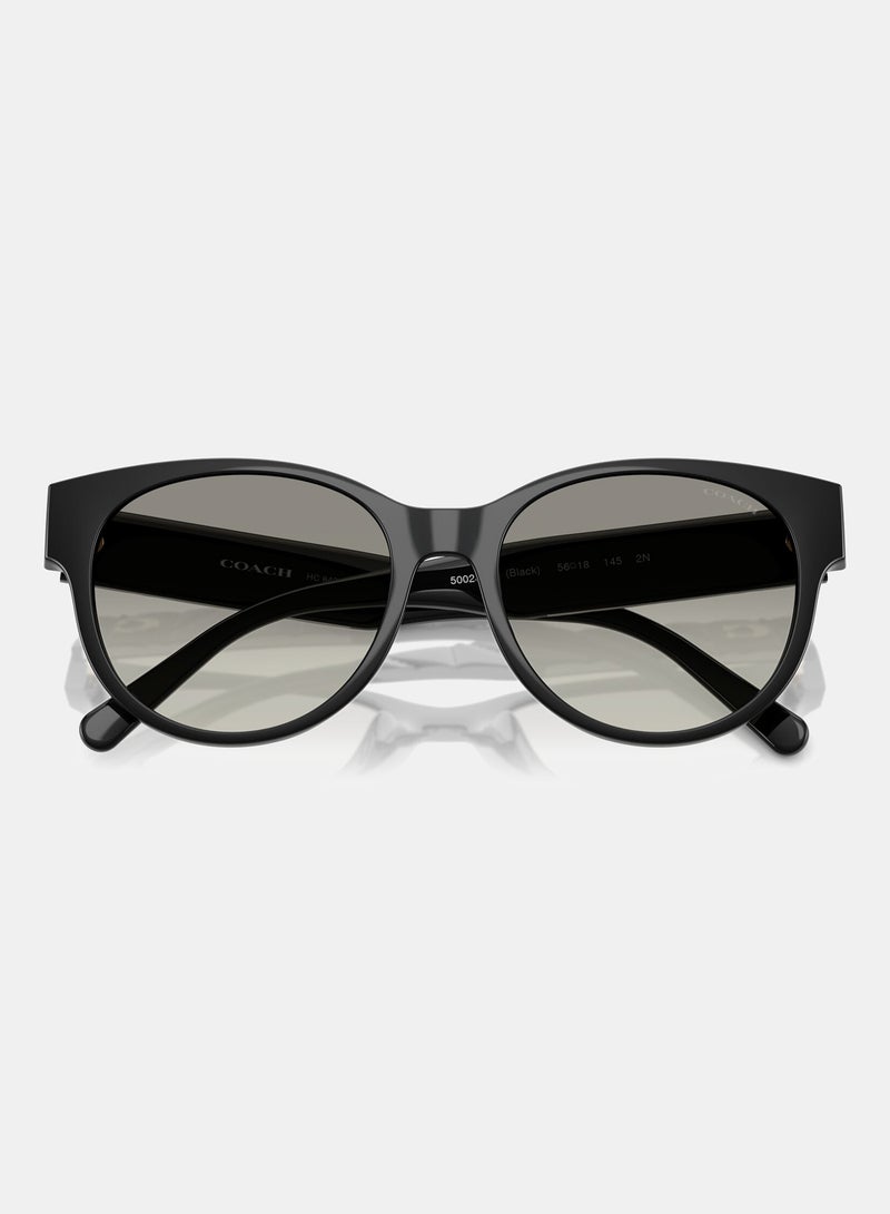 كوتش نظارة شمسية دائرية كاملة الإطار 8430D 50023C - Image 4